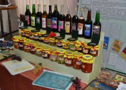 Продукція кафедри технології зберігання і переробки плодів та овочів